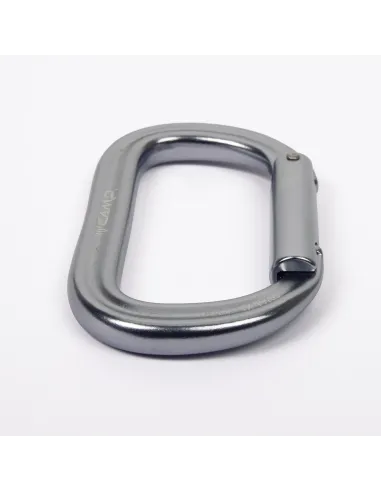 Climbing carabiner Camp Oval XL