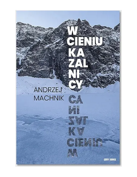 Książka W cieniu Kazalnicy