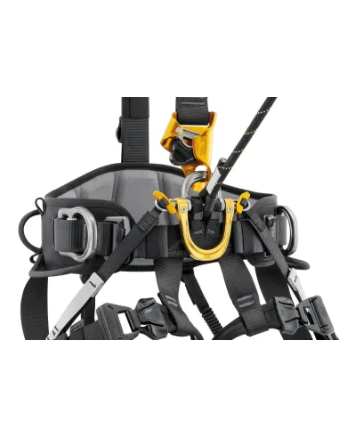 Harness Petzl Astro International Version