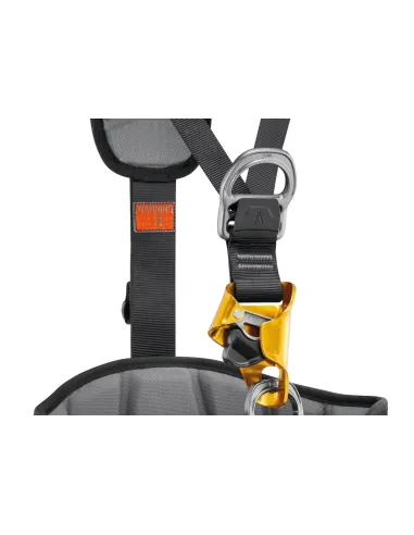 Harness Petzl Astro International Version