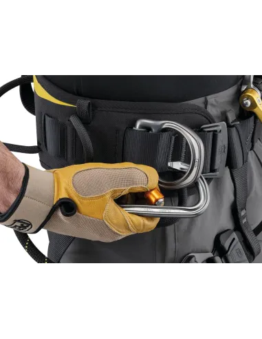 Harness Petzl Astro International Version