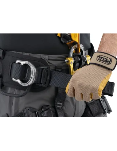 Harness Petzl Astro International Version