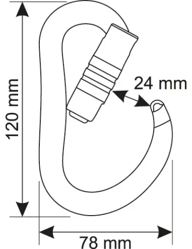 Climbing carabiner Camp Atom 3Lock