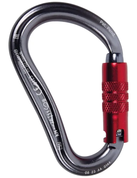 Climbing carabiner Camp Atom 3Lock