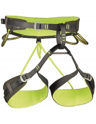 Harness Camp Energy CR3 Grey