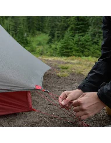 Tent MSR FreeLite 2 Green