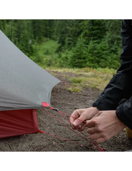 Tent MSR FreeLite 2 Green