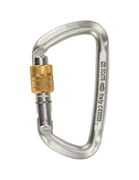 Climbing carabiner Climbing Technology D-Shape Steel SG