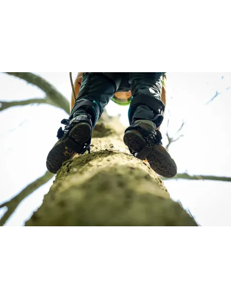 Tree spikes Notch Ergo Steel Pole Gaffs Tree spikes Notch Ergo Steel Pole Gaffs