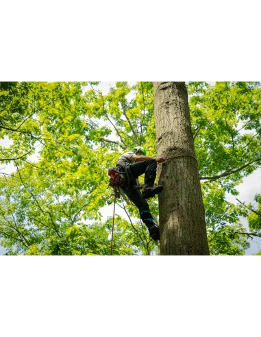 Tree spikes Notch Ergo Steel Pole Gaffs