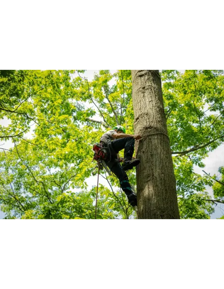 Tree spikes Notch Ergo Steel Pole Gaffs Tree spikes Notch Ergo Steel Pole Gaffs