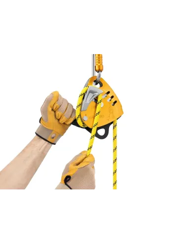 Pulley Petzl Maestro S