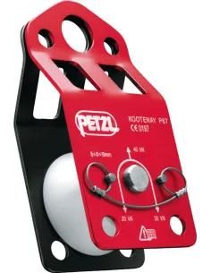 Pulley Petzl Kootenay