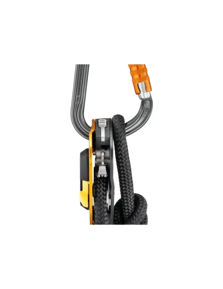 Climbing carabiner Petzl William Triact Lock