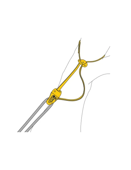 Anchor Petzl Eject
