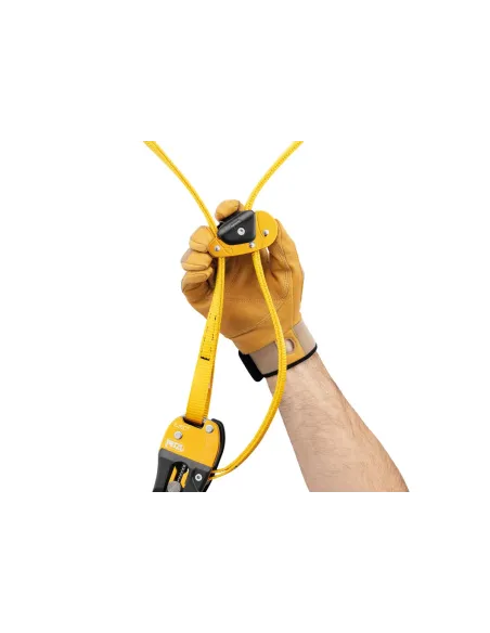 Anchor Petzl Eject
