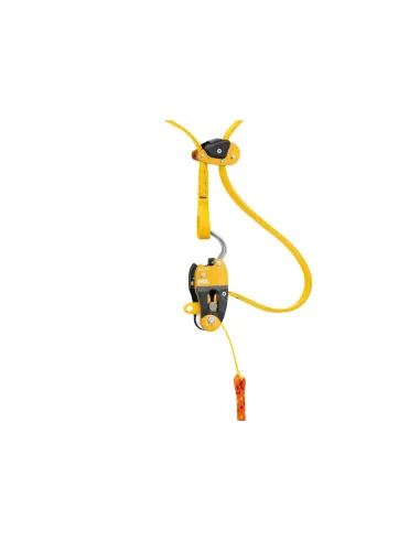 Anchor Petzl Eject