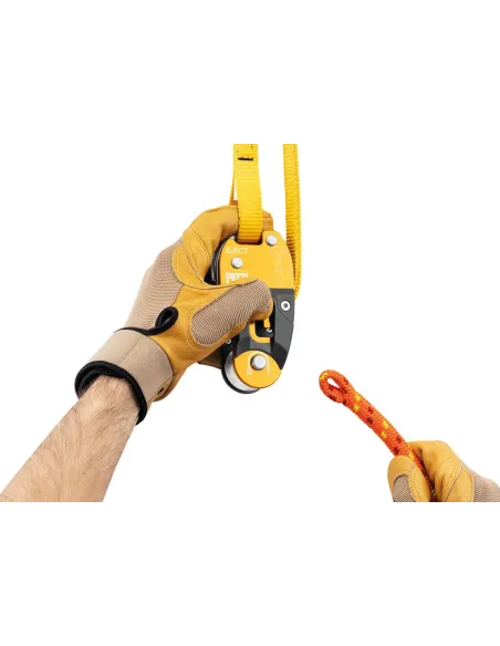 Anchor Petzl Eject