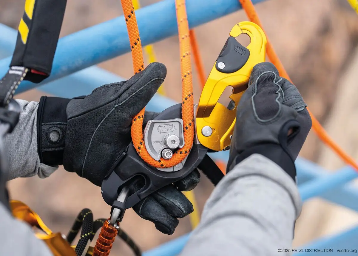 Petzl Rig